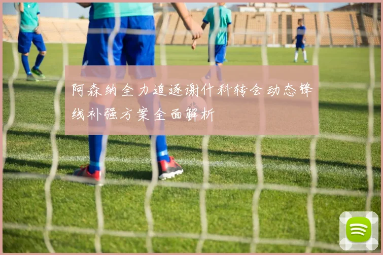 阿森纳全力追逐谢什科转会动态锋线补强方案全面解析