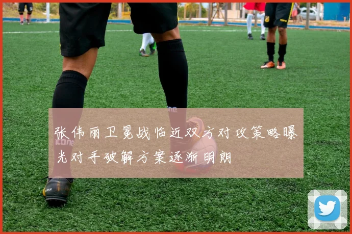 张伟丽卫冕战临近双方对攻策略曝光对手破解方案逐渐明朗