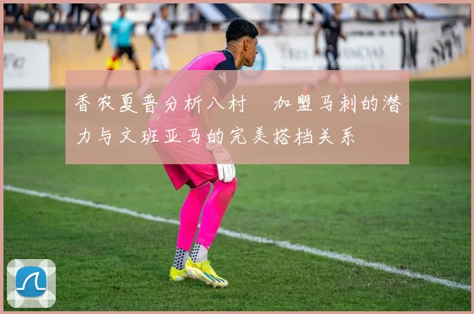 香农夏普分析八村塁加盟马刺的潜力与文班亚马的完美搭档关系